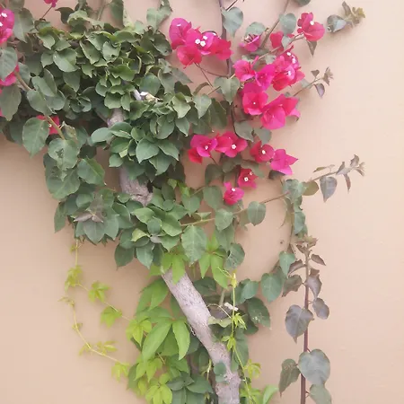 Sirocco Апартаменты *